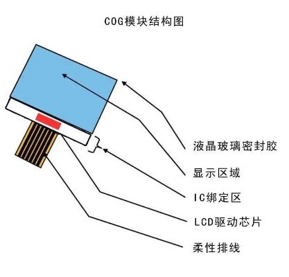 COGװյĽ